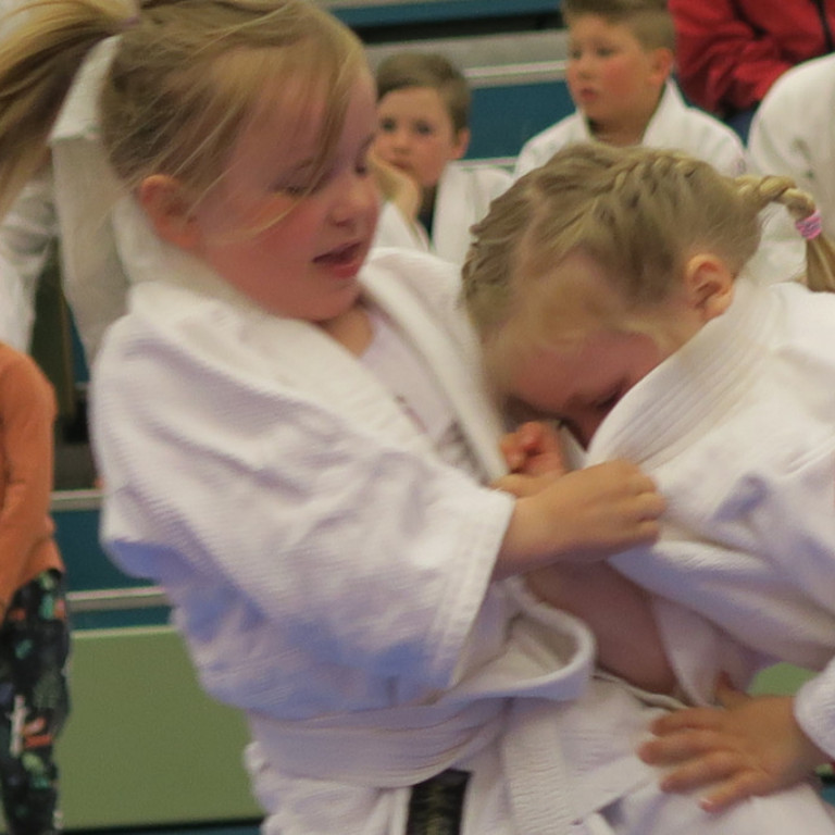 Frá Vormóti Tindastóls í Júdó 2018. Mynd: Magnús Elí Jónsson.