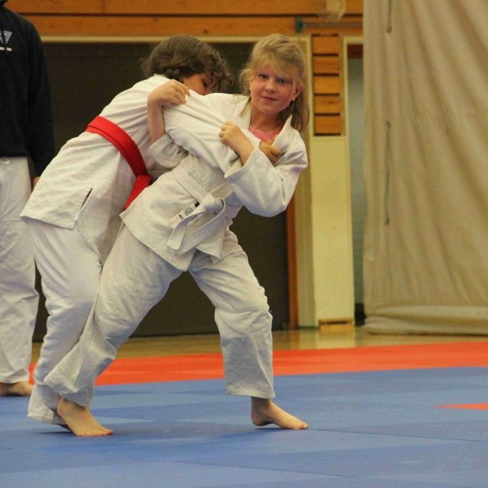 Frá Vormóti Tindastóls í Júdó 2019. Mynd: Katharina Sommermeier.