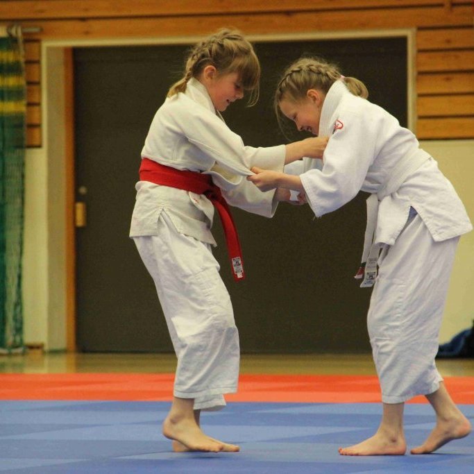 Frá Vormóti Tindastóls í Júdó 2019. Mynd: Katharina Sommermeier.