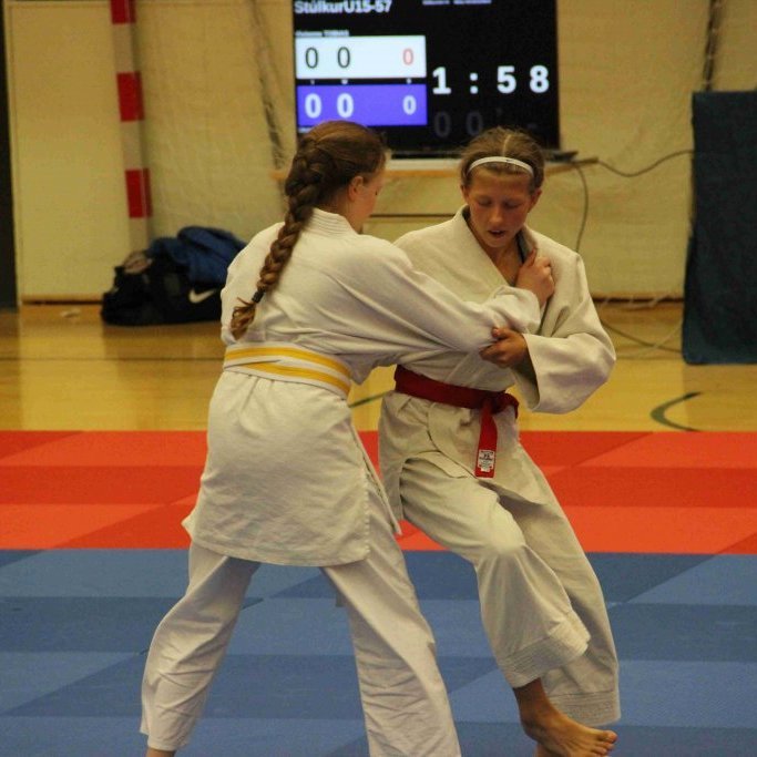 Frá Vormóti Tindastóls í Júdó 2019. Mynd: Katharina Sommermeier.