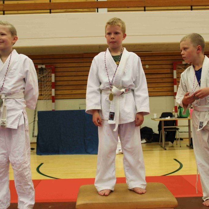 Frá Vormóti Tindastóls í Júdó 2019. Mynd: Katharina Sommermeier.