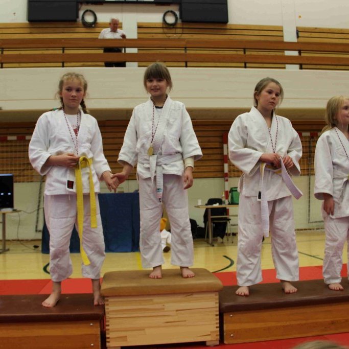 Frá Vormóti Tindastóls í Júdó 2019. Mynd: Katharina Sommermeier.