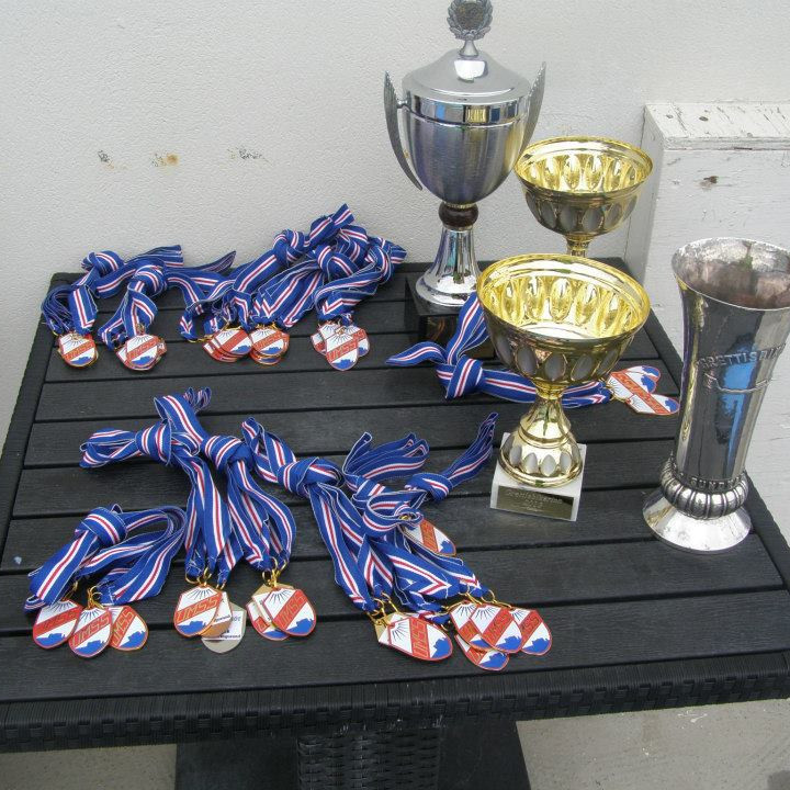 heradsmot-umss-17juni-2013-verdlaun