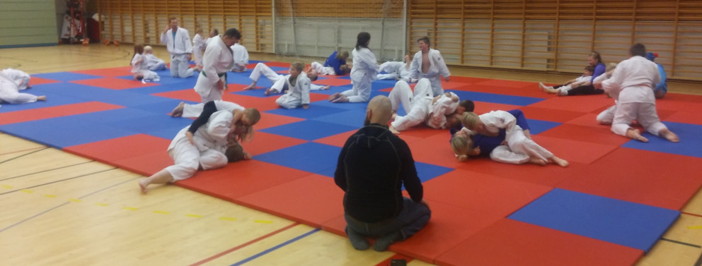 Frá foreldraæfingu. Mynd Einar Örn Hreinsson.