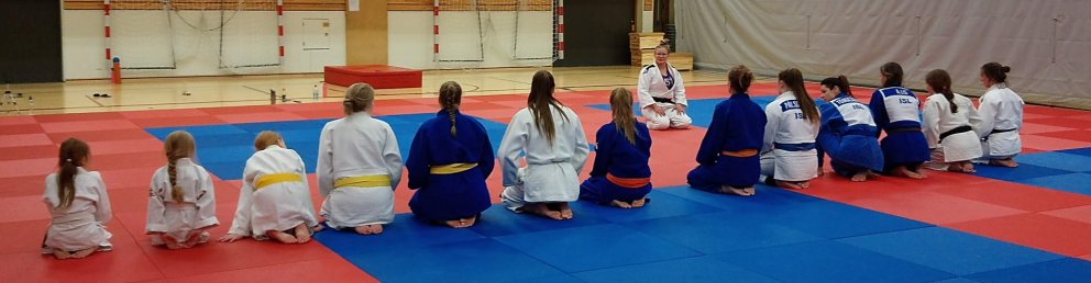 Frá opinni æfingu kvennalandsliðsins á Sauðárkróki. Mynd: Einar Örn Hreinsson.