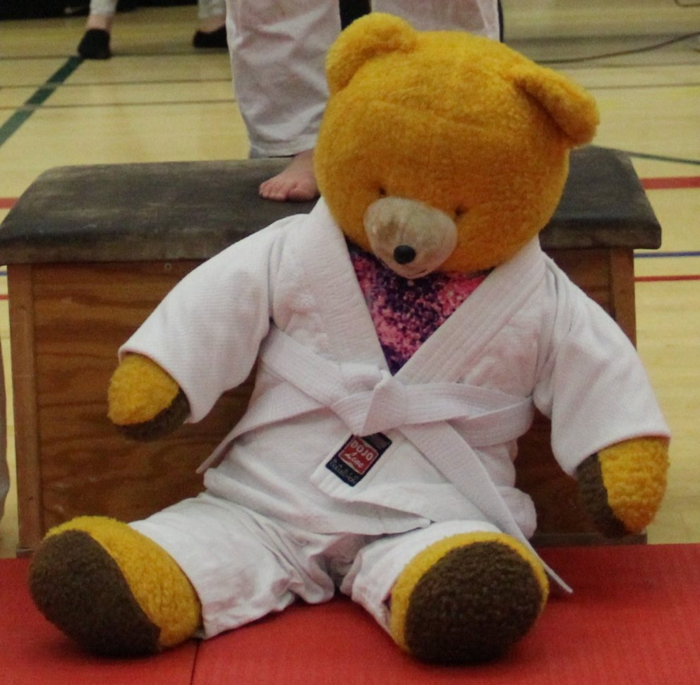 Emiko Einarsdóttir lukkudýr Júdódeildar