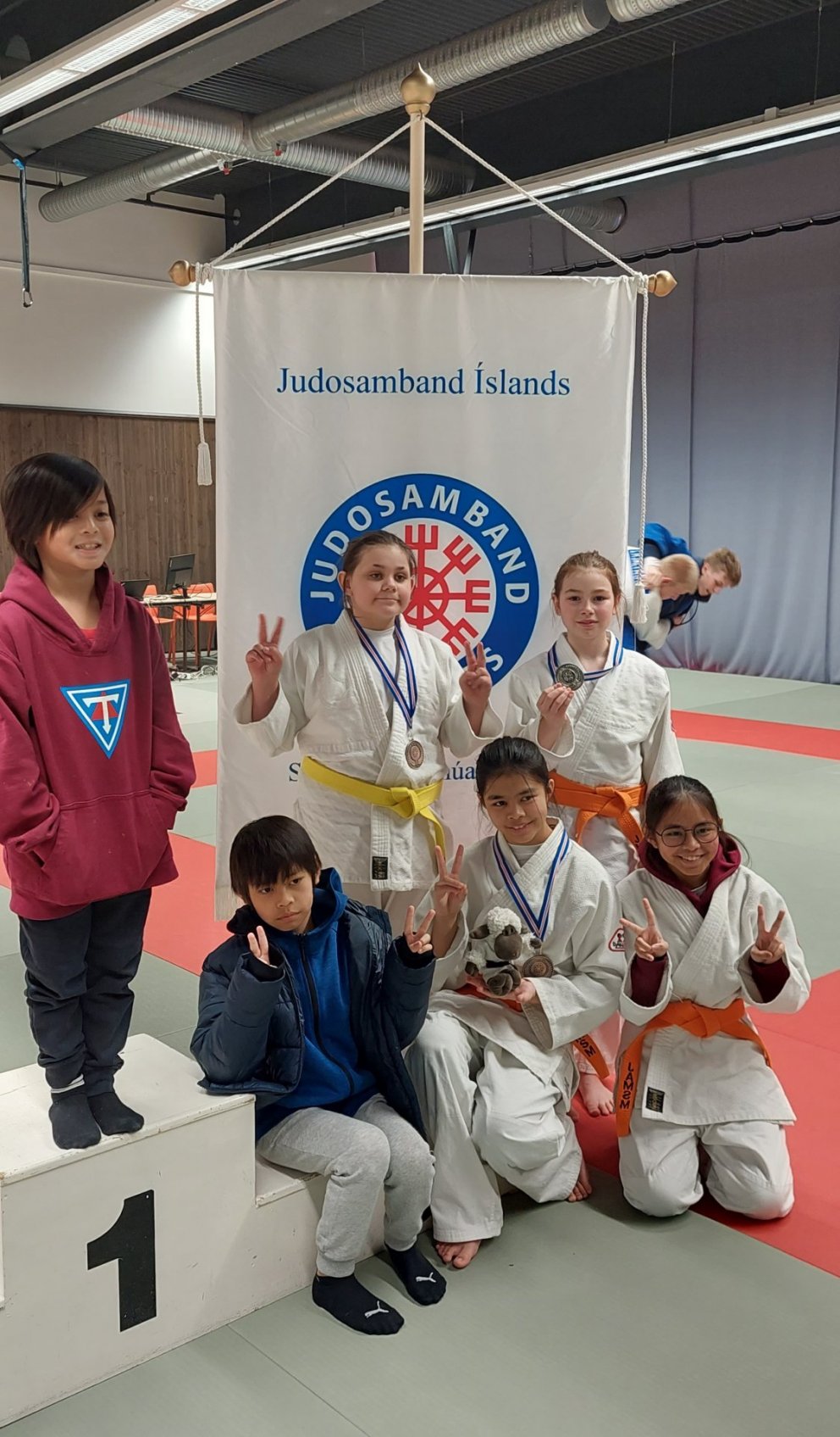 Íslandsmeistaramót JSÍ fyrir yngri flokka