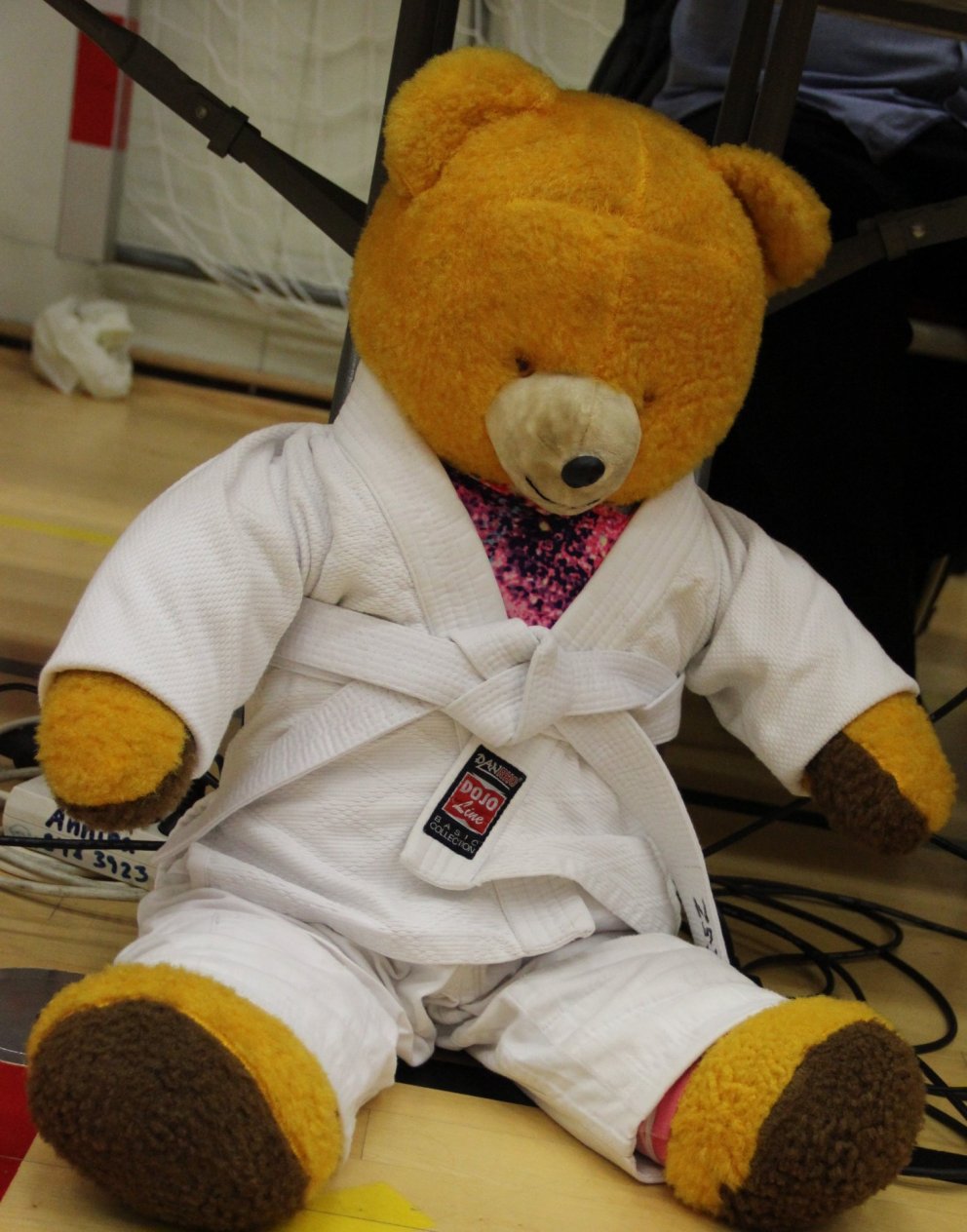 Aðalfundur Júdódeildar Tindastóls