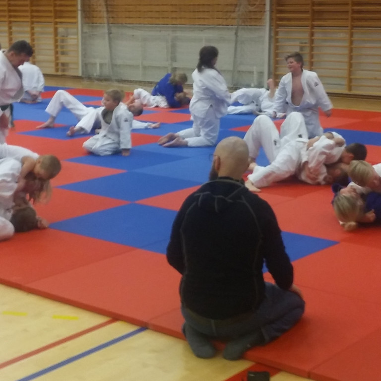 Frá foreldraæfingu. Mynd Einar Örn Hreinsson.