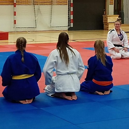 Frá opinni æfingu kvennalandsliðsins á Sauðárkróki. Mynd: Einar Örn Hreinsson.