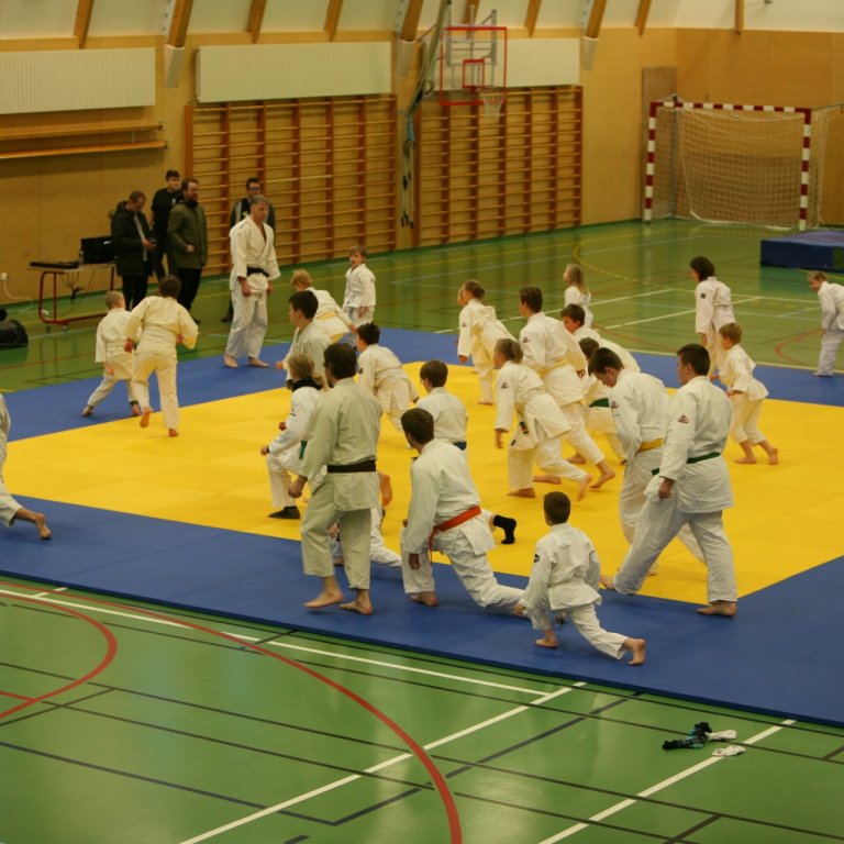 Frá Norðurlandsmóti á Blönduósi. Mynd: Hjálmar Ólafsson.