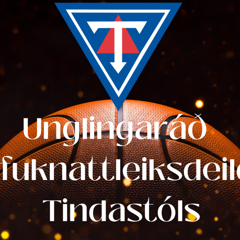 Körfubolti - Sumaræfingar 2023